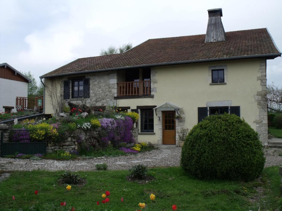 Bed and Breakfast La Fontaine Aux Oiseaux Chevigney Exterior foto