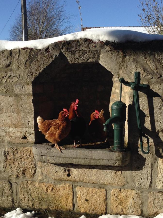 Bed and Breakfast La Fontaine Aux Oiseaux Chevigney Exterior foto