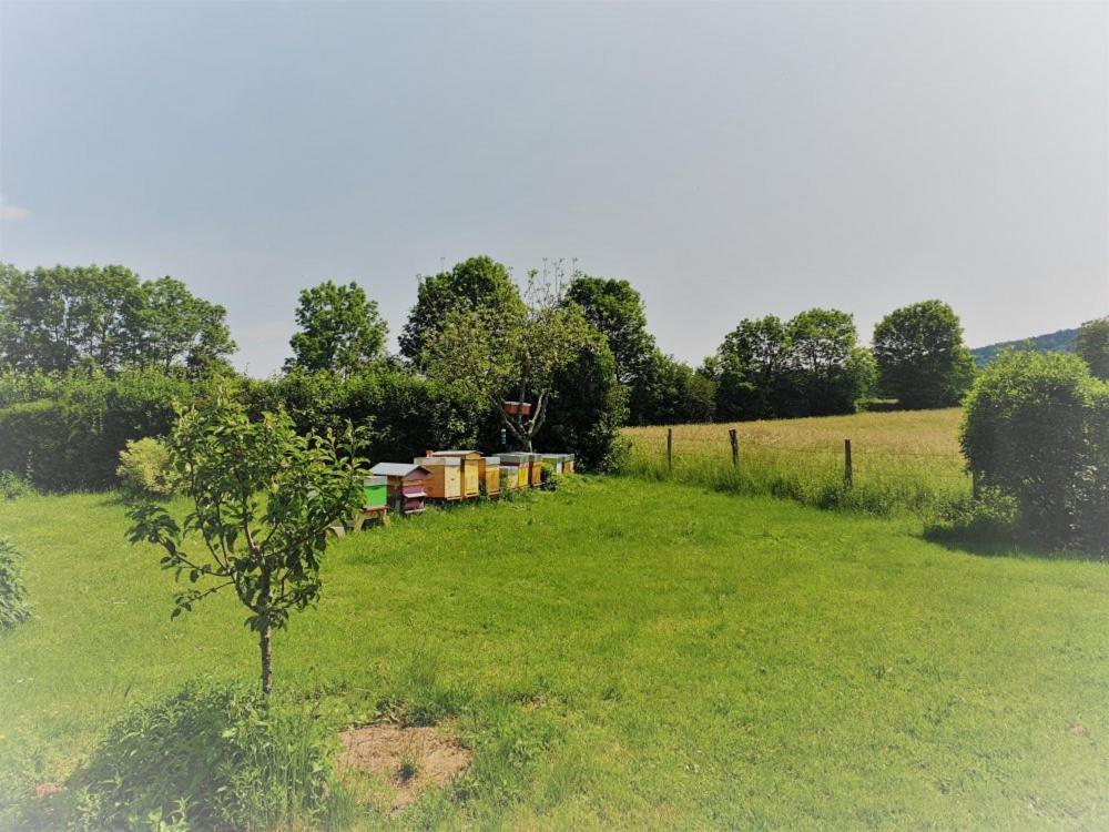 Bed and Breakfast La Fontaine Aux Oiseaux Chevigney Exterior foto