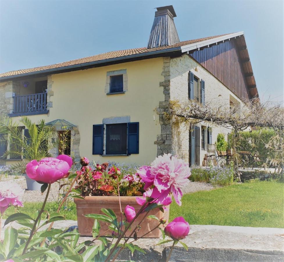 Bed and Breakfast La Fontaine Aux Oiseaux Chevigney Exterior foto